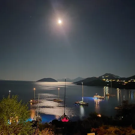 Aegean Blue * Pandéli